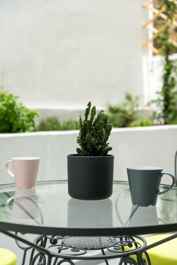 Central Cozy Studio With A Secret Garden Athen Eksteriør billede